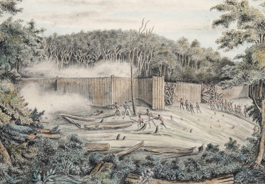 The Battle of Ruapekapeka - New Zealand Defence Force